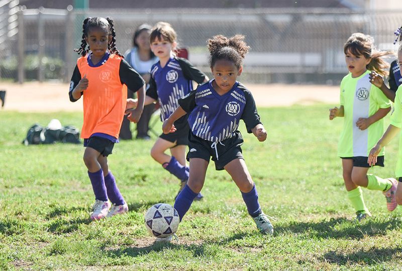 Fall Soccer Signup