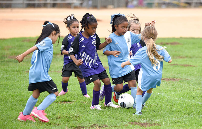 Fall Soccer Signup