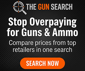 The Gun Search