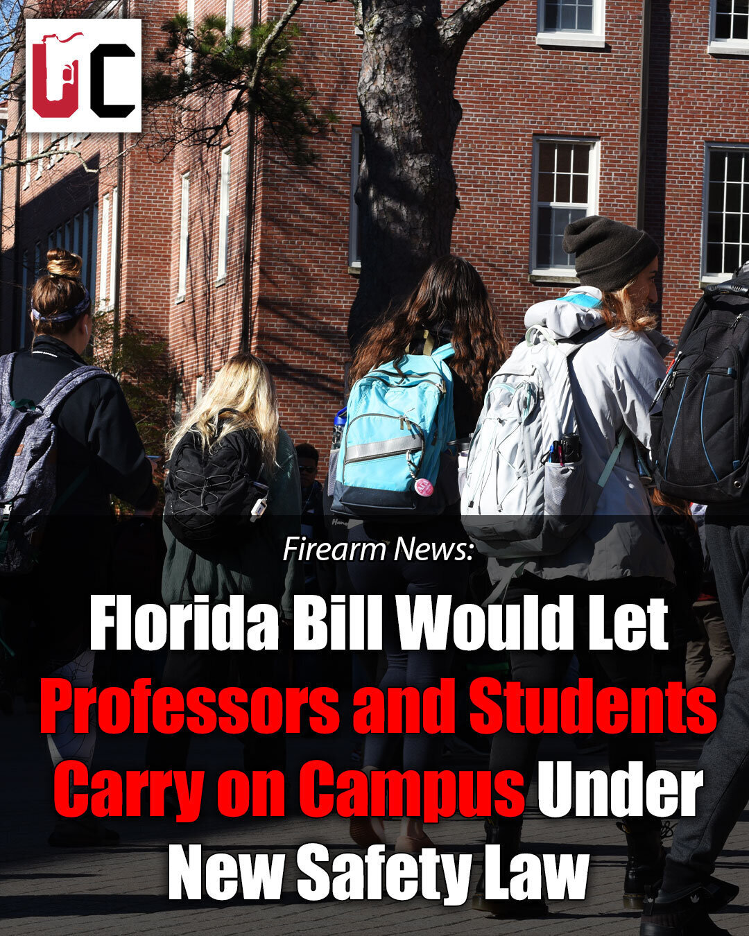 Florida Bill Would Let Professors and Students Carry on Campus Under New Safety Law
