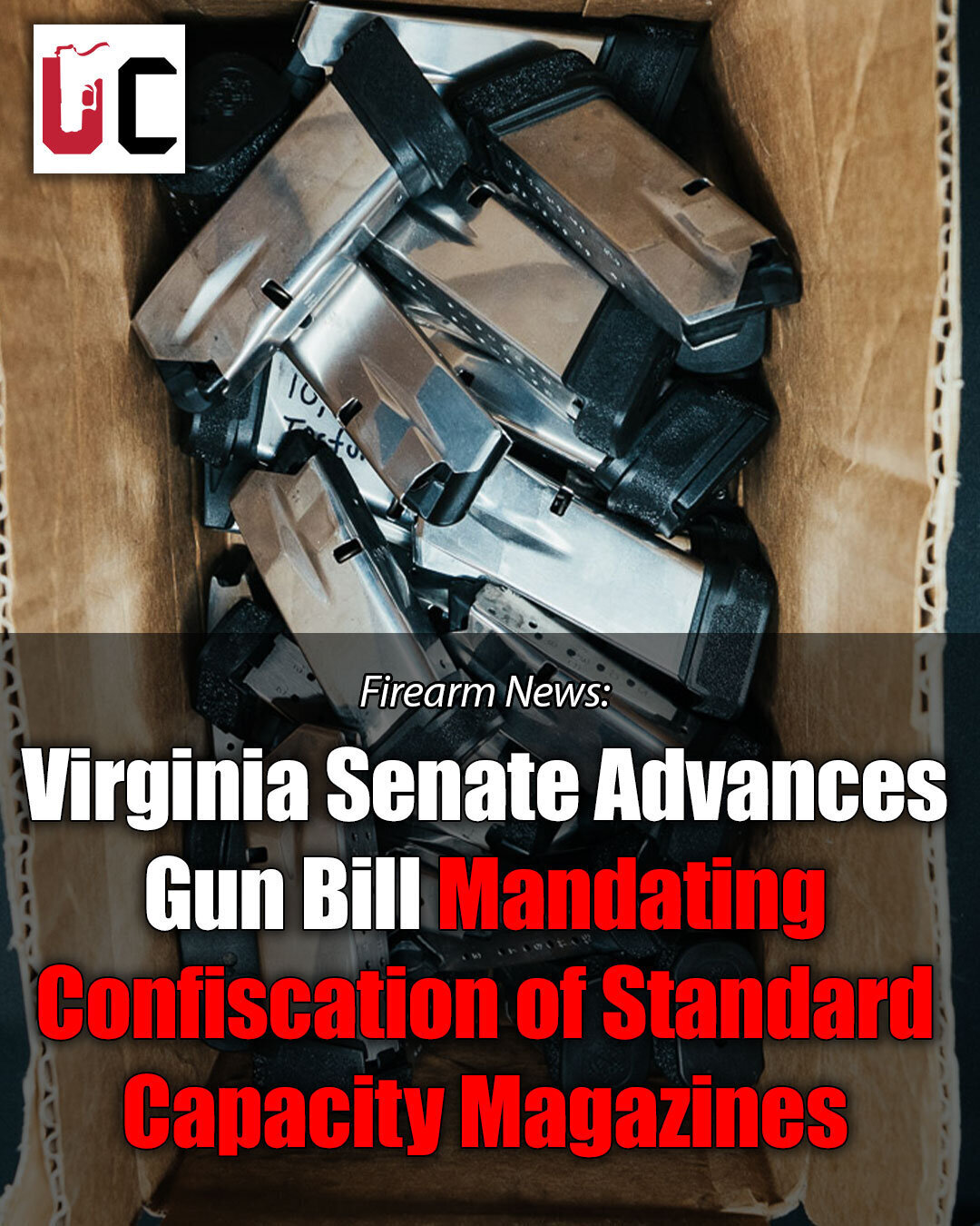 Virginia Senate Advances Gun Bill Mandating Confiscation of Standard Capacity Magazines