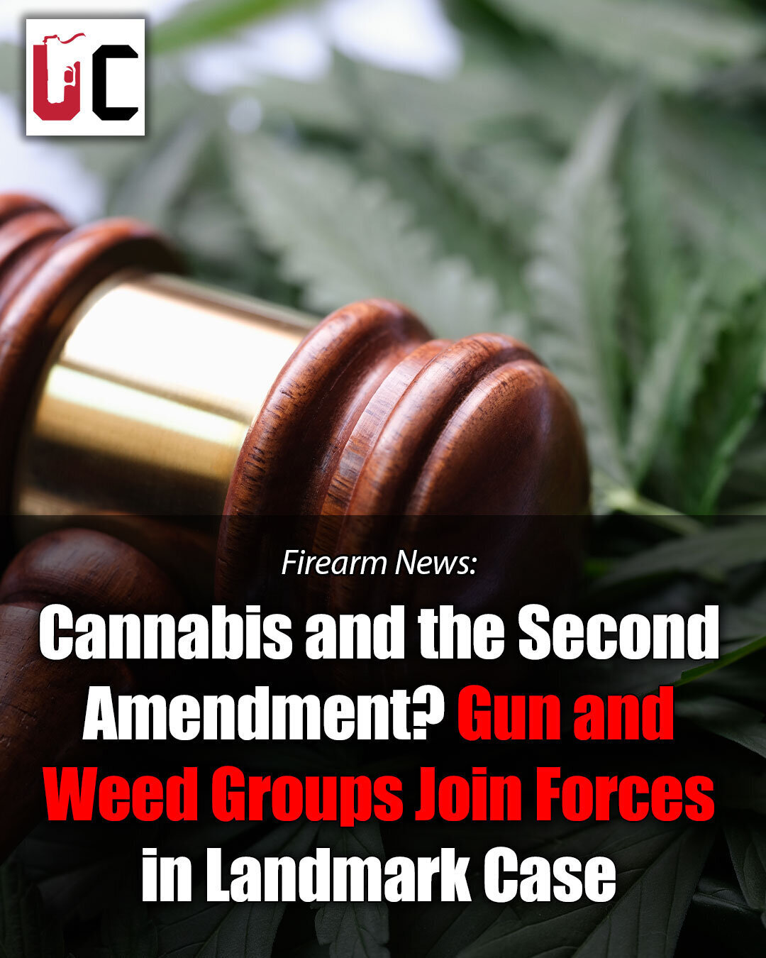 Cannabis and the Second Amendment? Gun and Weed Groups Join Forces in Landmark Case
