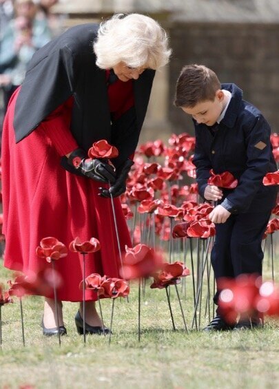 Queen and Harrison plant final poppies