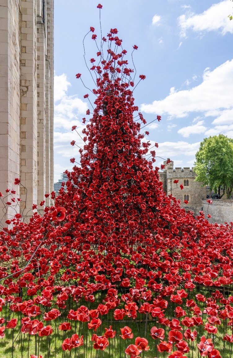 Tower of London with poppies
