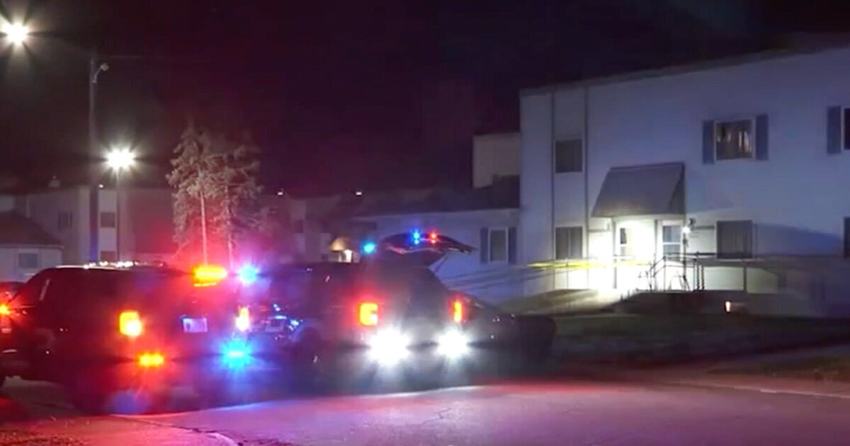 3-Year-Old Shoots 2-Year-Old Brother with Pistol He Found in Mom's Purse