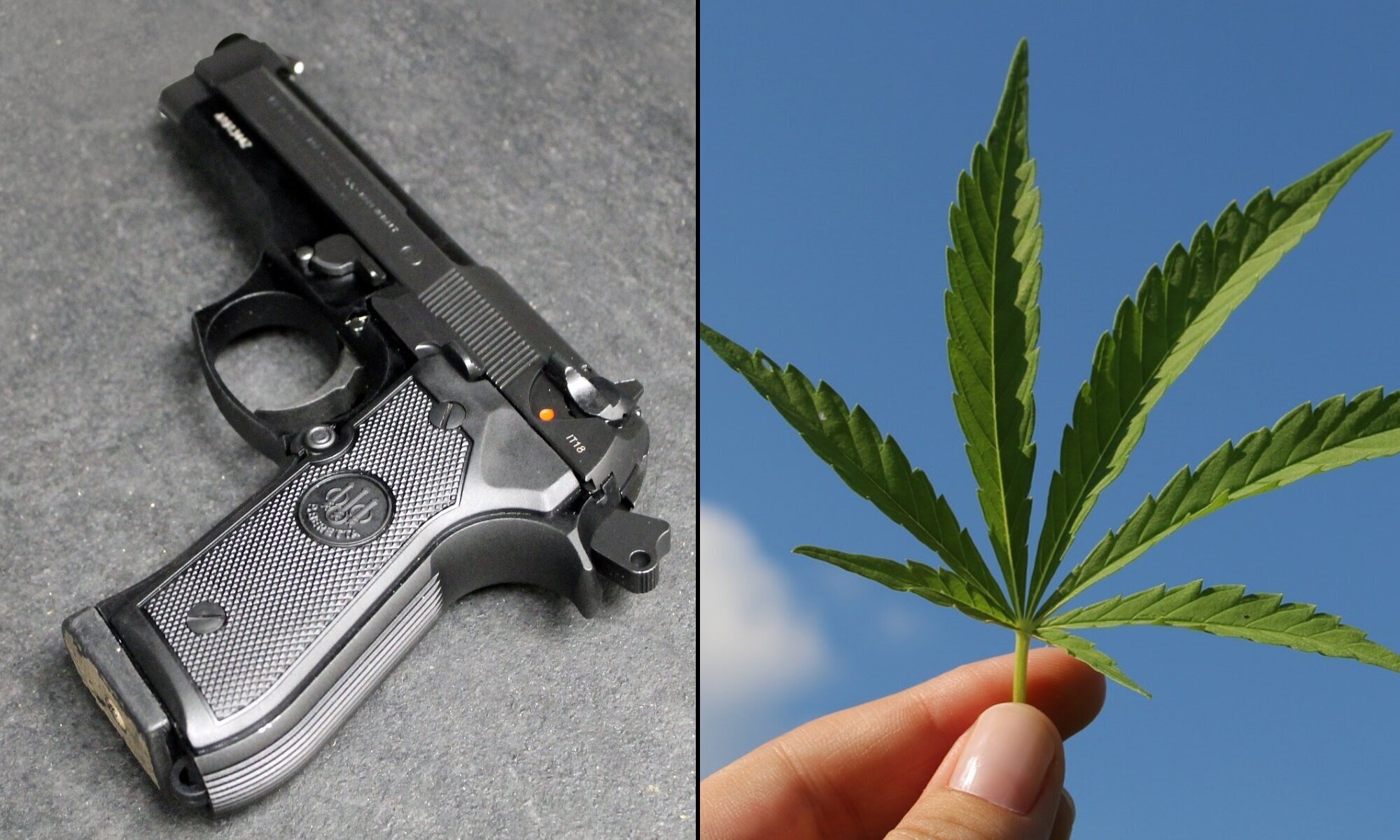 Colorado Officials Approve Initiative To Allow Marijuana Consumers To Get Concealed Carry Handgun Permits