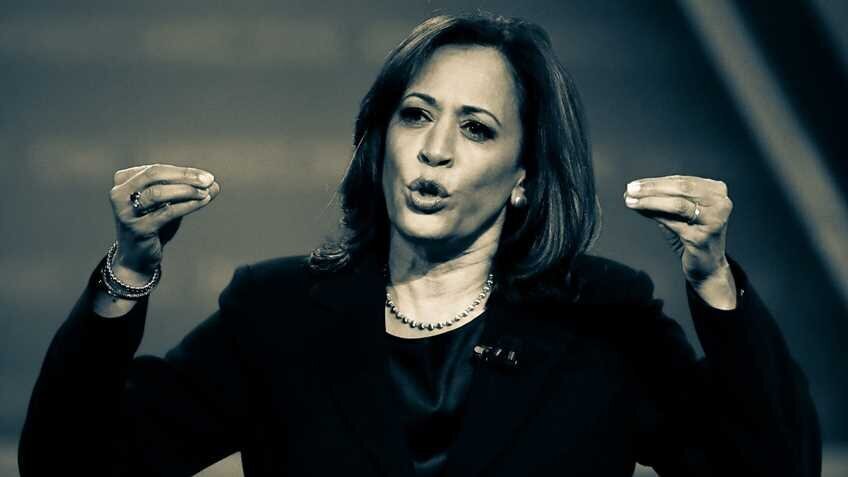 Kamala Harris and the Democratic Party Platform: Threats to the Second Amendment