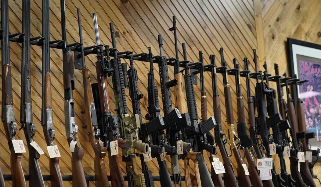 GOA Wants DOGE to Look at NIH Grants on 'Gun Research'