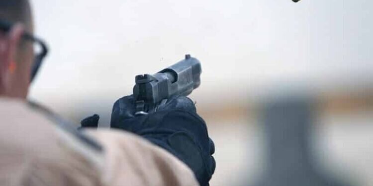 Choosing A Home Defense Gun: Pistol, Rifle Or Shotgun?