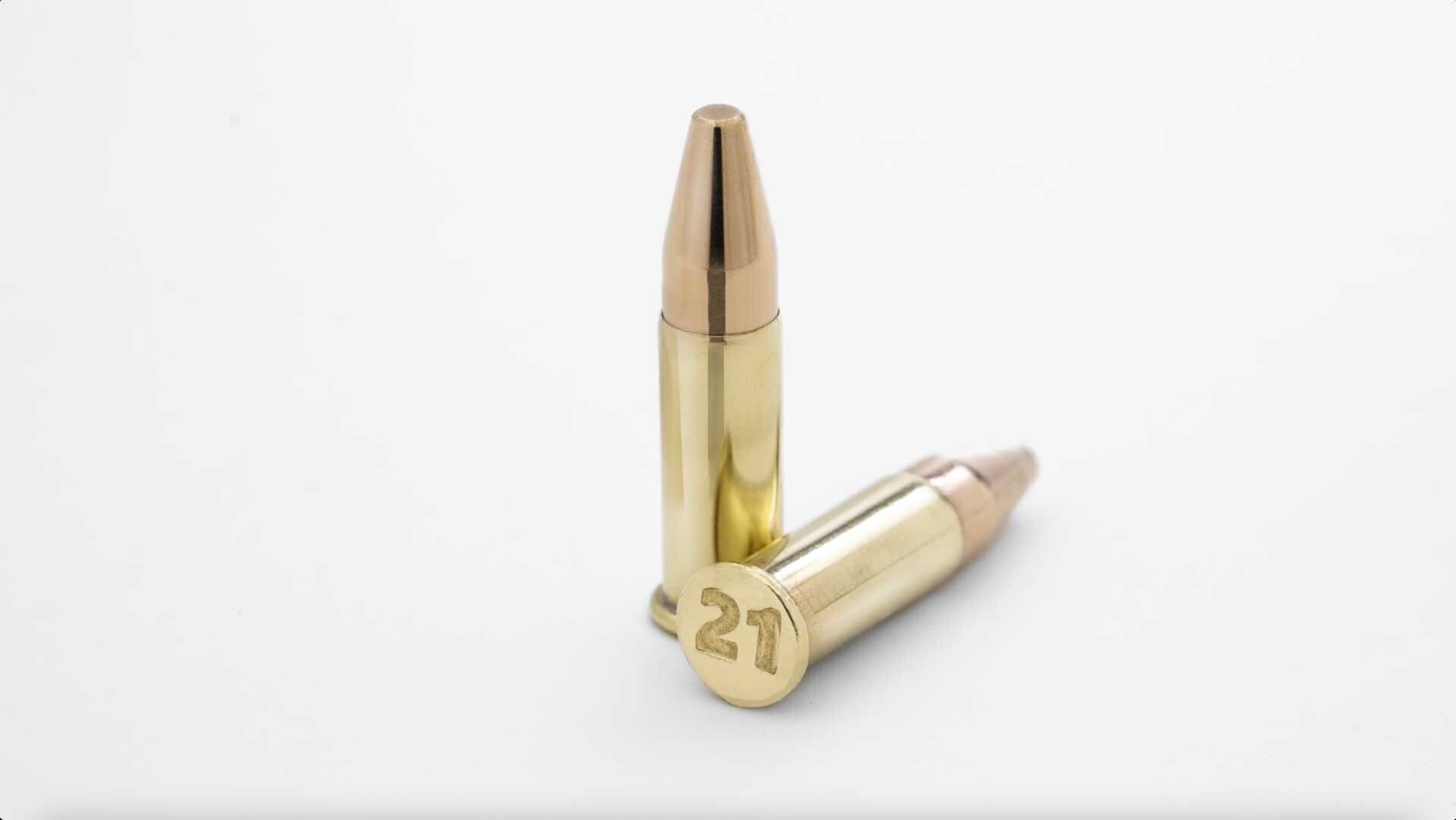 Winchester's New .21 Sharp Cartridge