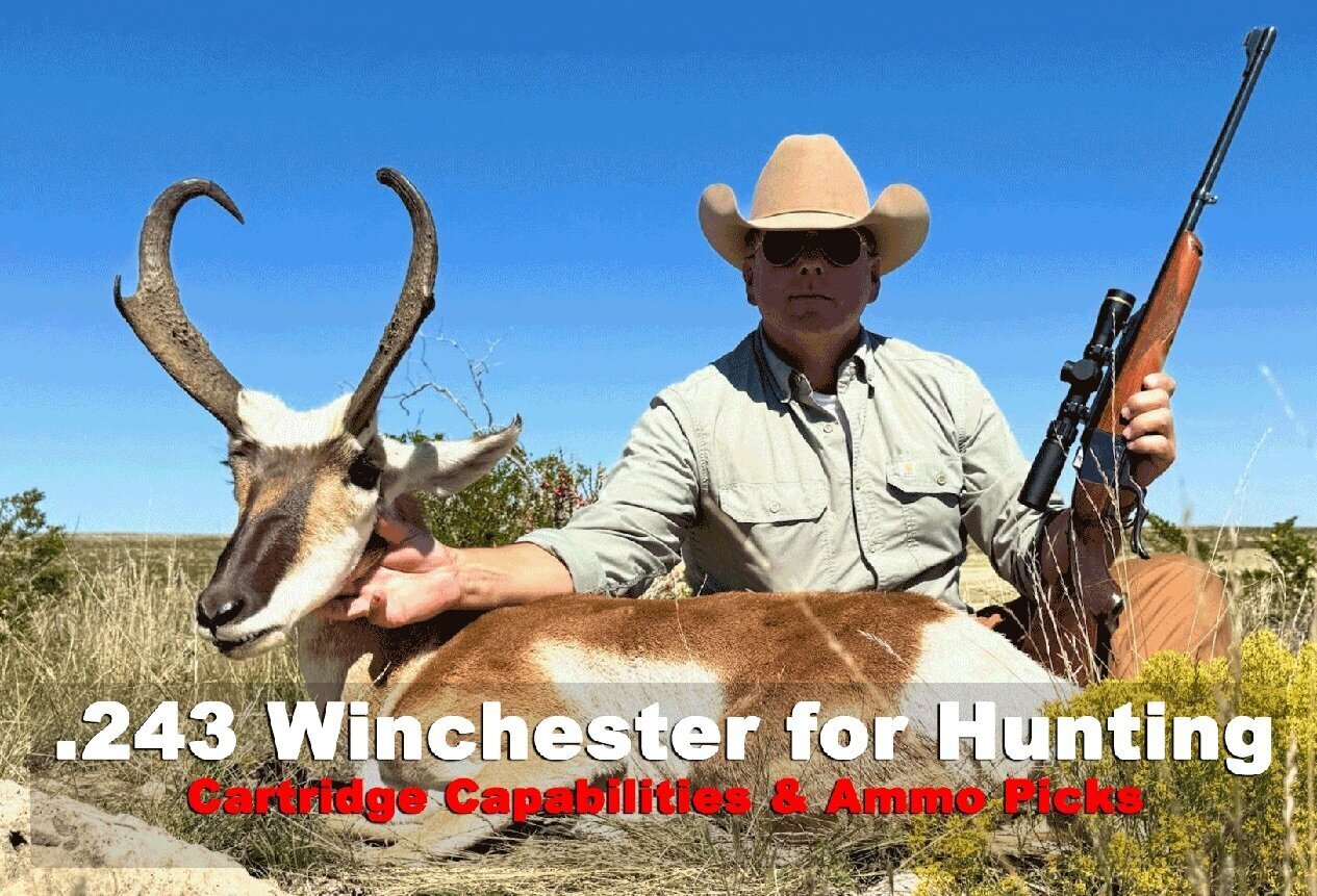 Best 243 Ammo for Deer & Other Hunts