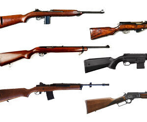 The 6 Best Ban-State Carbines