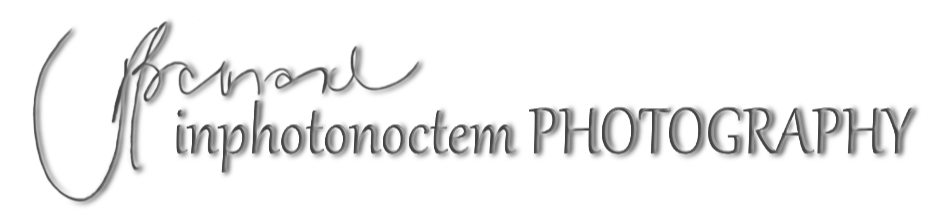 TR Barnard inphotonoctem PHOTOGRAPHY