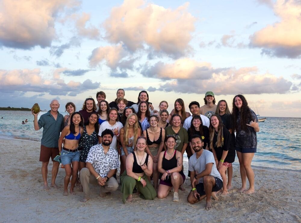 Please enable display image option