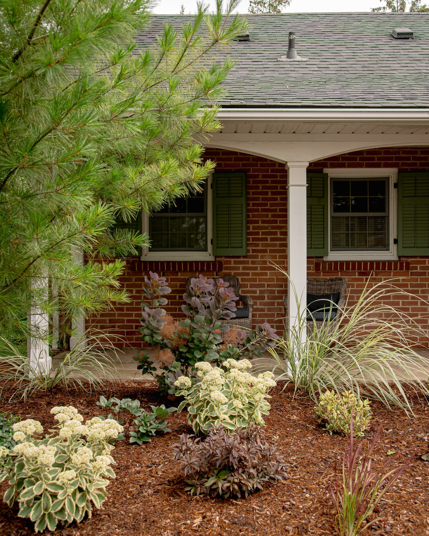 A head-on image shows the front of a brick house with the front garden covered in mulch. A pine tree is creeping in from the left.