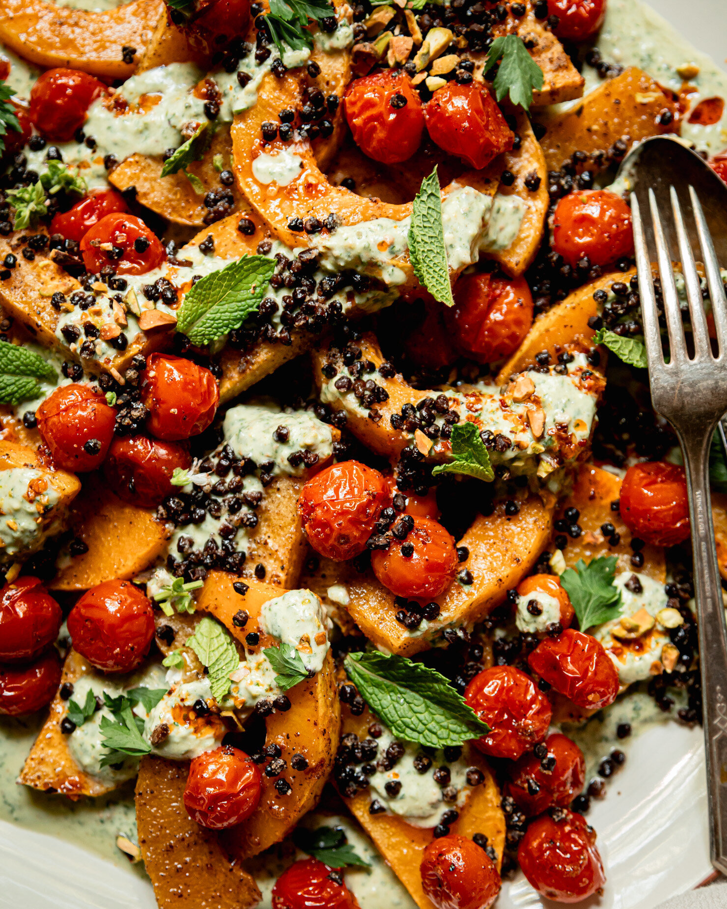 An up close, overhead shot shows a pile of roasted butternut squash slices, cherry tomatoes, and black lentils all on top of a swoop of herbed yogurt sauce. The dish is garnished with fresh herbs and chili crisp.
