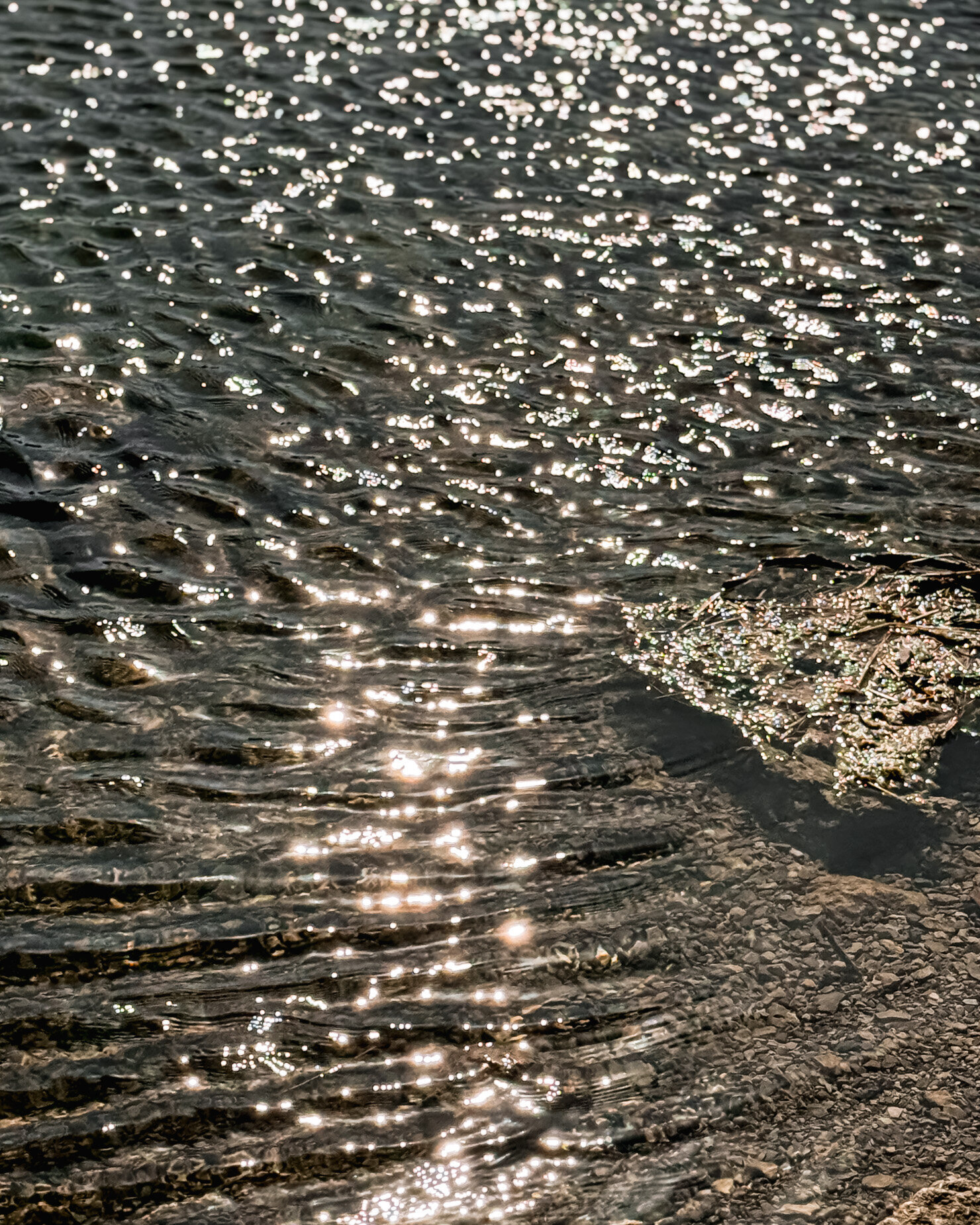A 3/4 angle shot shows sparkling ripples on the bank of a river, the rocks of the riverbed seen clearly underneath.